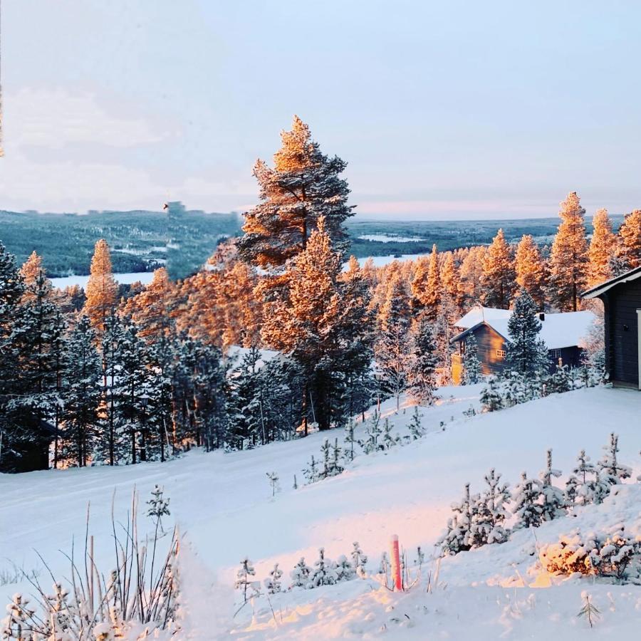 1125 Fjaellstugan Lofsdalen Ngoại thất bức ảnh